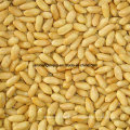 Chinese New Crop Blanched Peanut Kernel